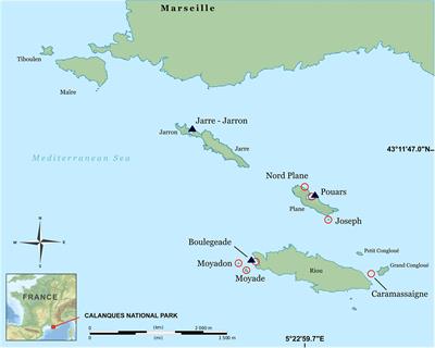 The Three-Dimensional Structure of Mediterranean Shallow Rocky Reefs: Use of Photogrammetry-Based Descriptors to Assess Its Influence on Associated Teleost Assemblages